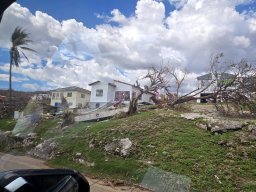 04-hillside-homes-fallen-trees